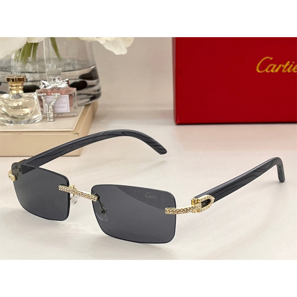 Cartier, Premiere, Women's Eyewear