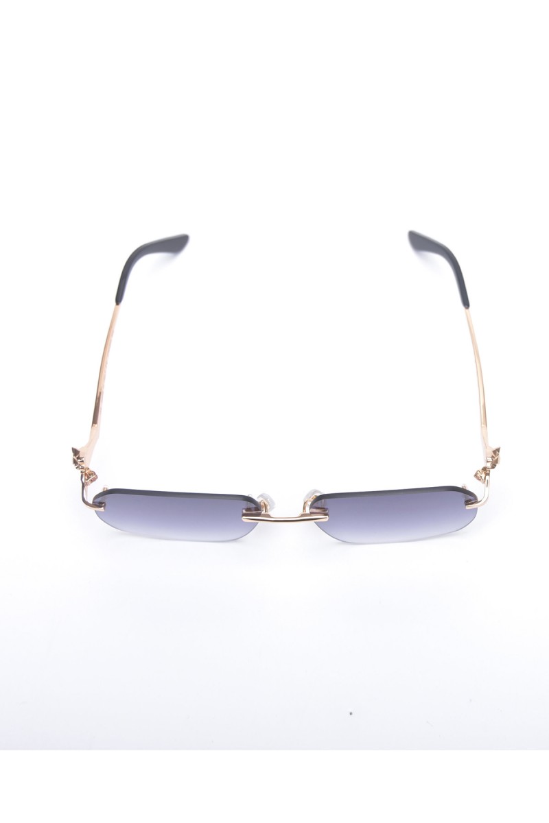 Cartier, Unisex Eyewear