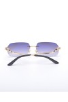 Cartier, Unisex Eyewear