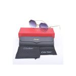 Cartier, Premiere, Unisex Eyewear