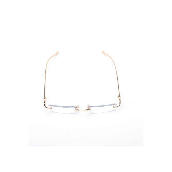 Cartier, Panthere, Unisex Eyewear, Color Changing Glass