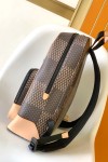 Louis Vuitton, Men's Backpack, Brown