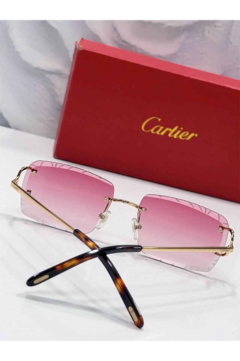 Cartier, Men's Eyewear