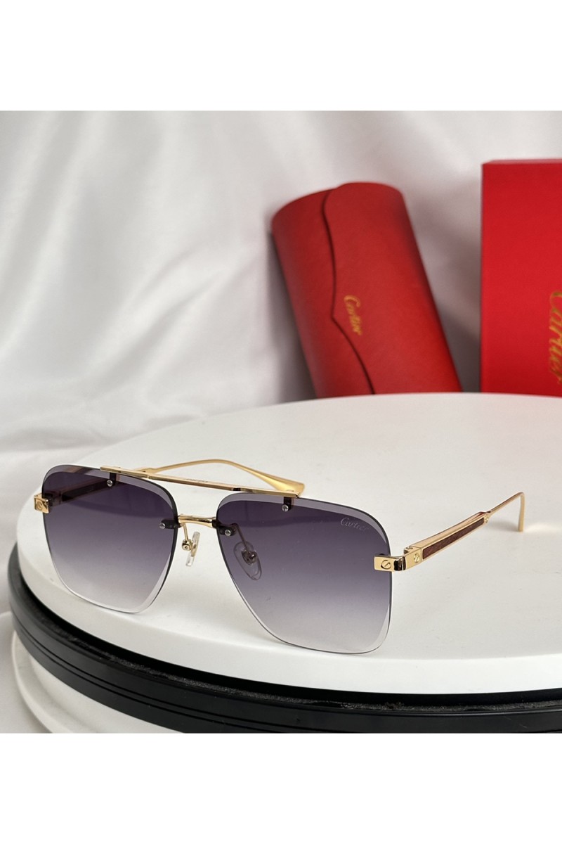 Cartier, Unisex Eyewear