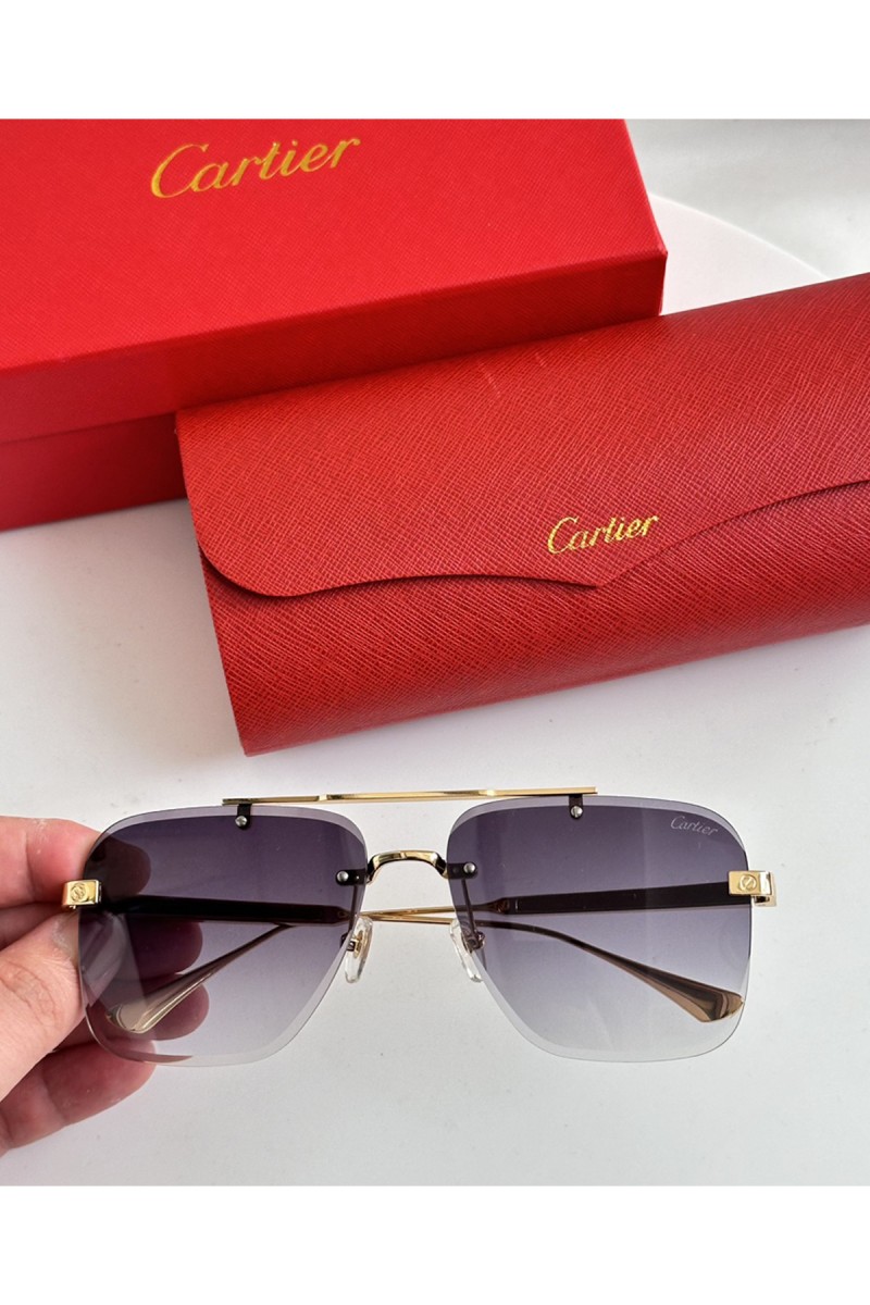 Cartier, Unisex Eyewear