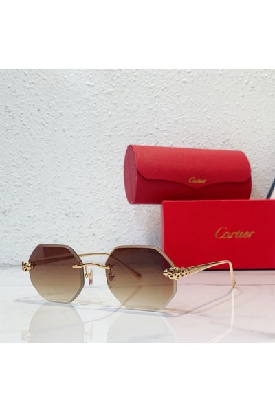 Cartier, Unisex Eyewear