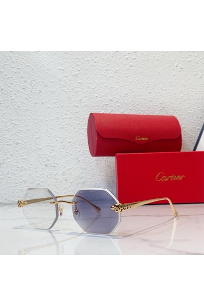 Cartier, Unisex Eyewear