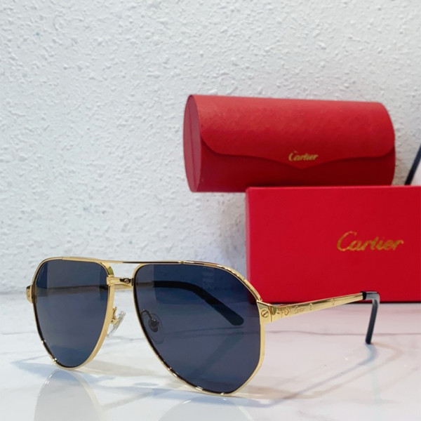 Cartier, Santos, Unisex Eyewear