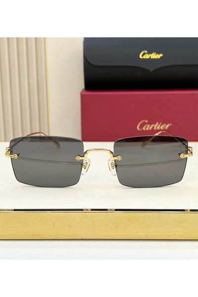 Cartier, Men's Eyewear