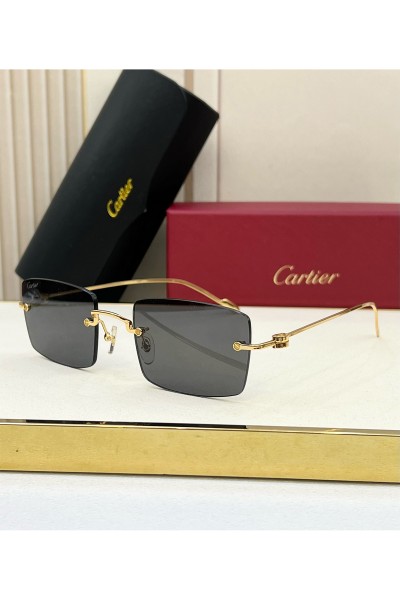 Cartier, Men's Eyewear