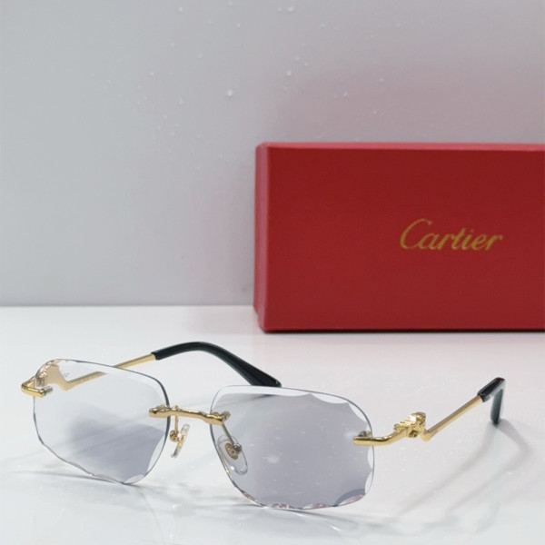 Cartier, Unisex Eyewear