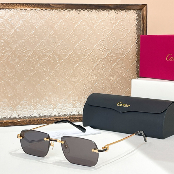 Cartier, Men's Eyewear, CT0362S