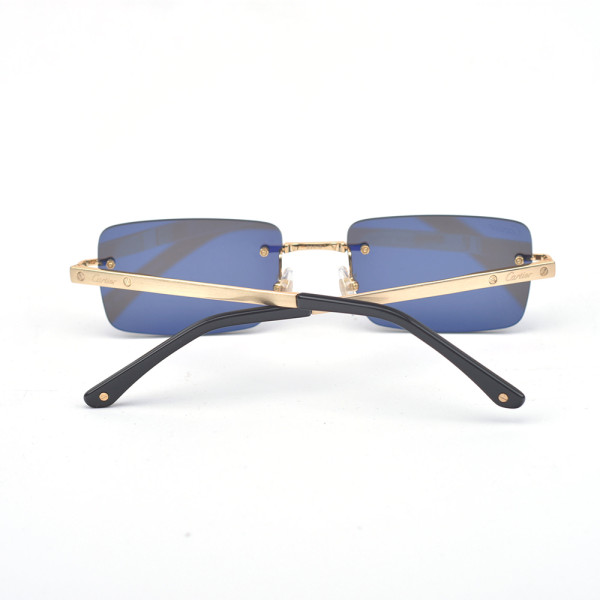 Cartier, Santos, Unisex Eyewear