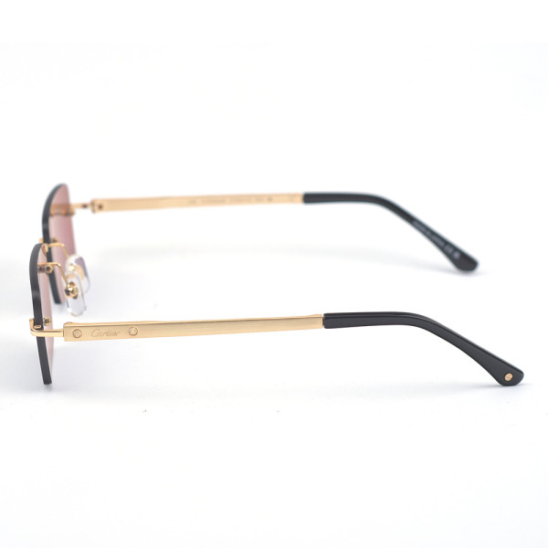 Cartier, Santos, Unisex Eyewear