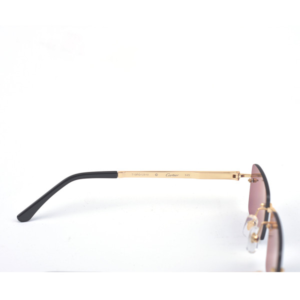 Cartier, Santos, Unisex Eyewear
