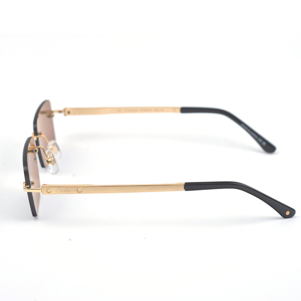 Cartier, Santos, Unisex Eyewear
