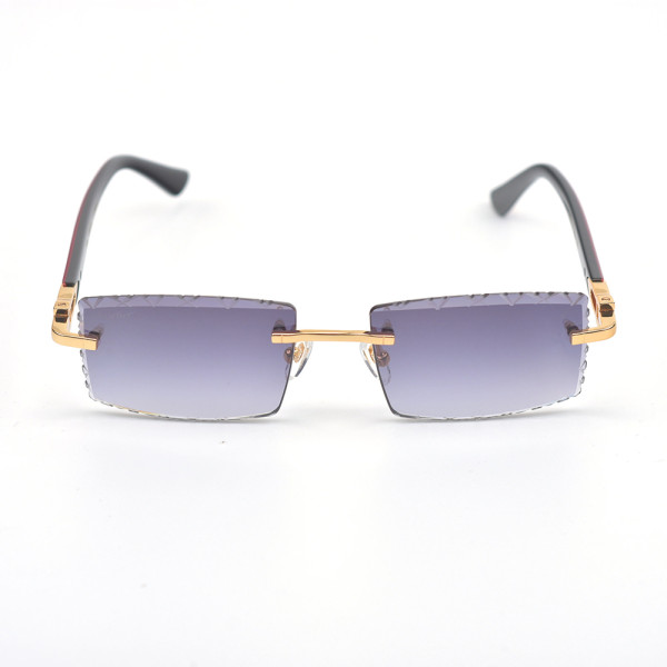 Cartier, C Allonge, Unisex Eyewear