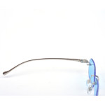 Cartier, Panthere, Unisex Eyewear