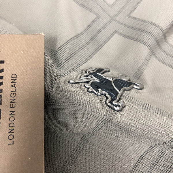 Burberry, Men's Shirt, Brown