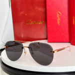 Cartier, Santos, Men's Eyewear