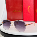 Cartier, Santos, Men's Eyewear