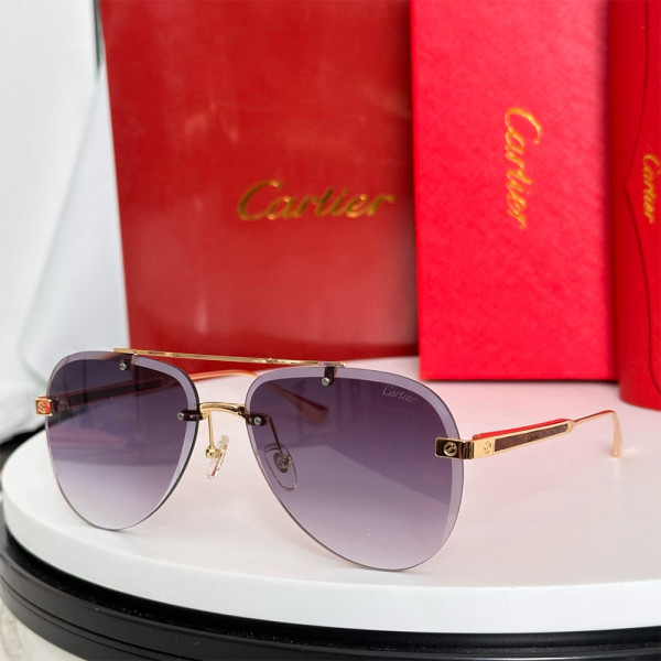 Cartier, Santos, Men's Eyewear