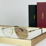Cartier, Premiere, Men's Eyewear