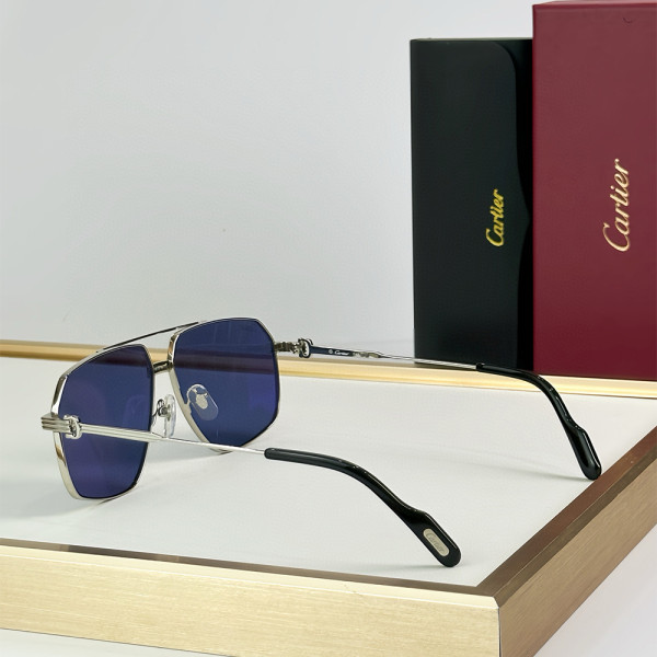 Cartier, Premiere, Men's Eyewear