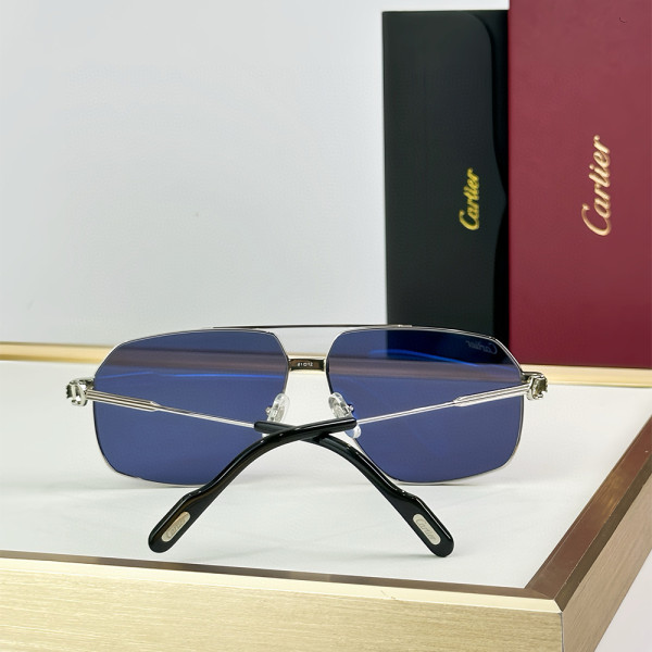 Cartier, Premiere, Men's Eyewear