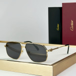Cartier, Premiere, Men's Eyewear
