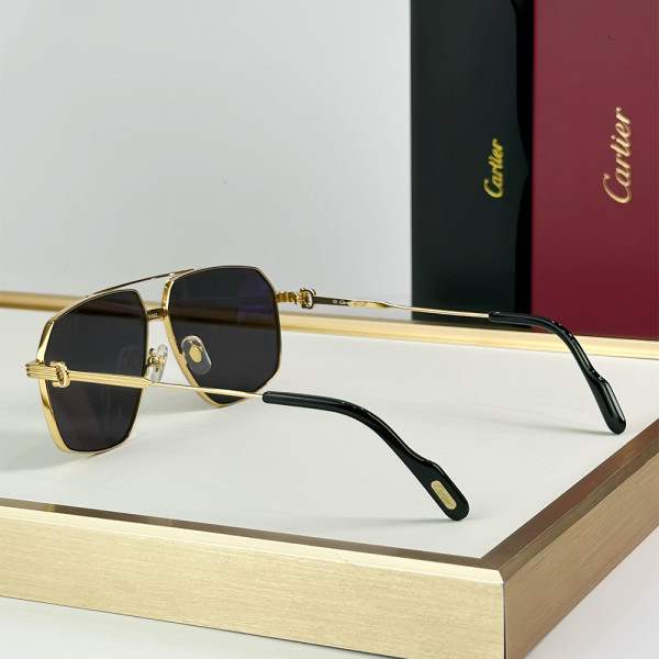 Cartier, Premiere, Men's Eyewear