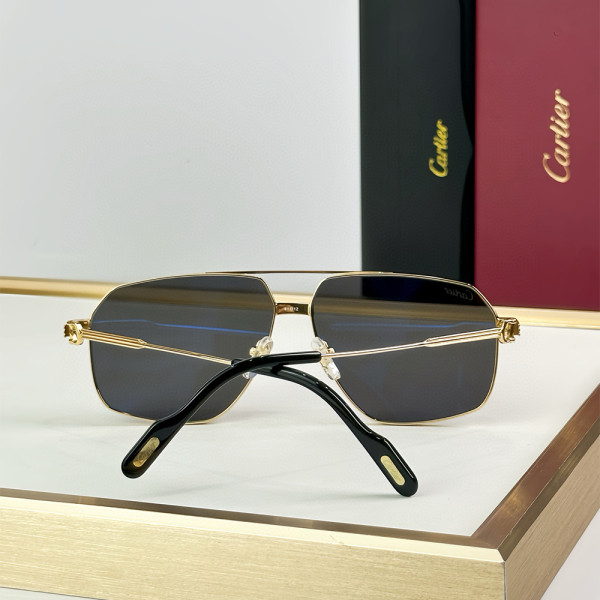 Cartier, Premiere, Men's Eyewear