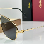 Cartier, Premiere, Men's Eyewear