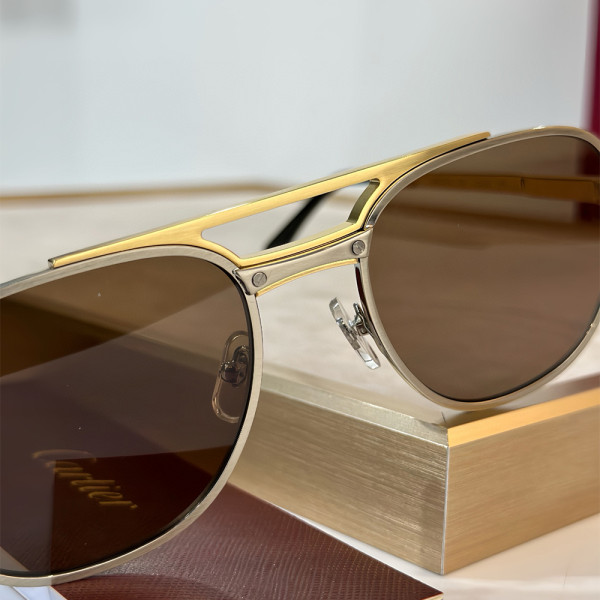 Cartier, Santos, Men's Eyewear