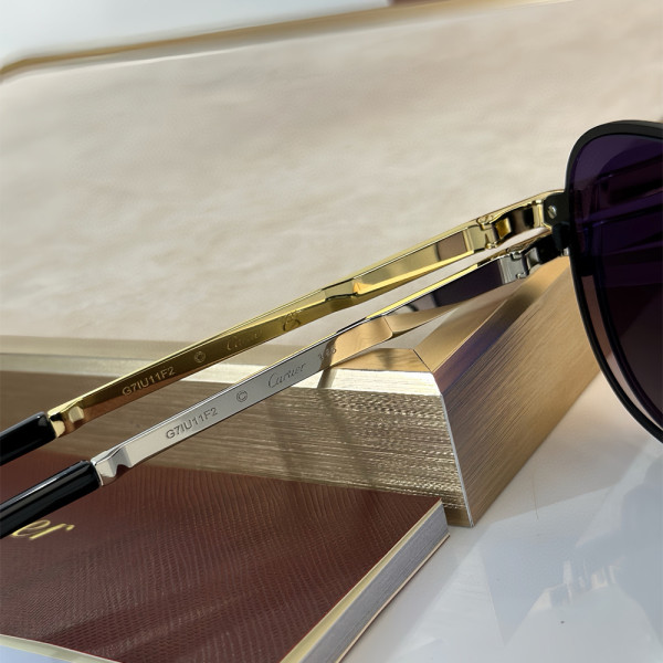 Cartier, Santos, Men's Eyewear