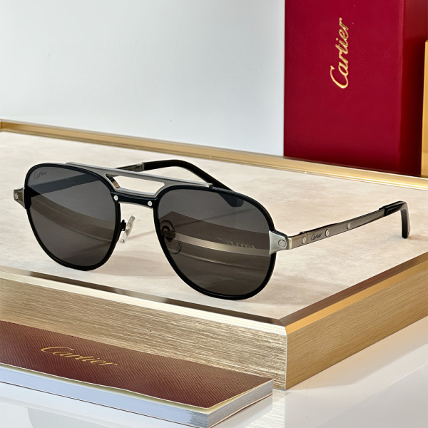 Cartier, Santos, Men's Eyewear