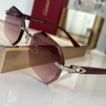 Cartier, Santos, Men's Eyewear