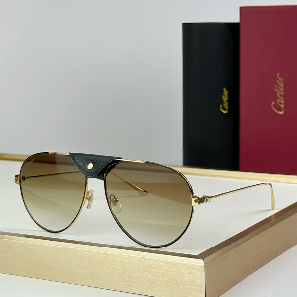 Cartier, Santos, Men's Eyewear