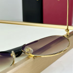 Cartier, Santos, Men's Eyewear