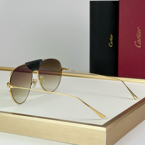 Cartier, Santos, Men's Eyewear