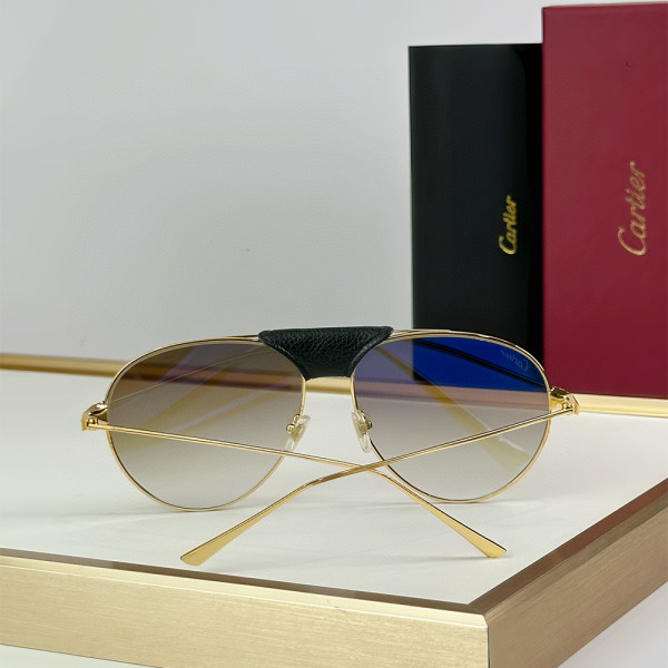 Cartier, Santos, Men's Eyewear