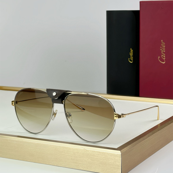 Cartier, Santos, Men's Eyewear