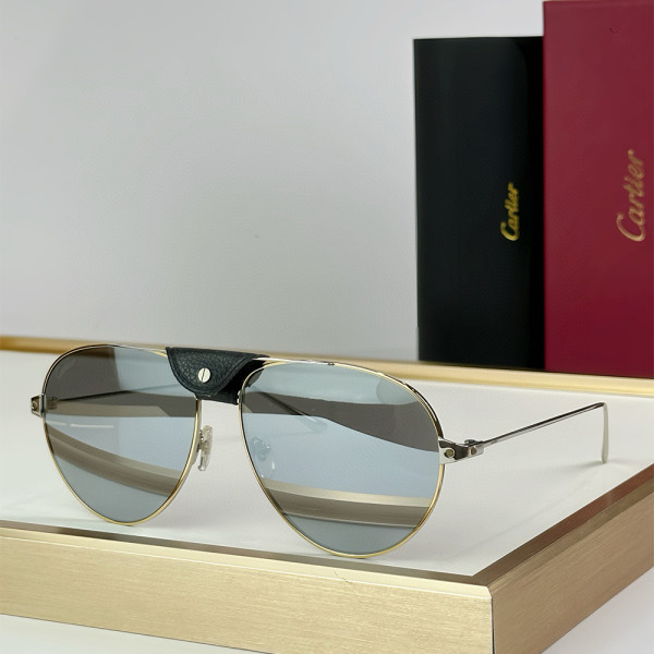 Cartier, Santos, Men's Eyewear
