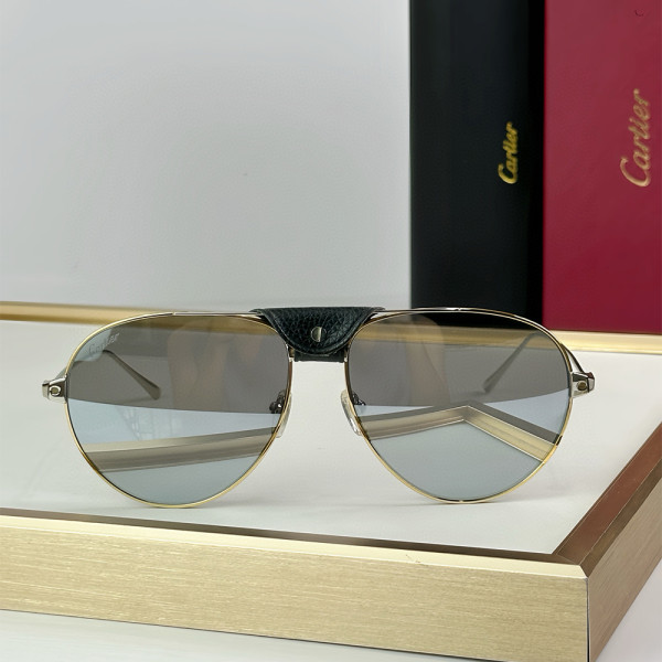 Cartier, Santos, Men's Eyewear