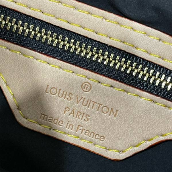 Louis Vuitton, Twinny Other, Women's Bag, Brown