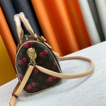 Louis Vuitton, Speedy, Women's Bag, Brown