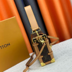 Louis Vuitton, Side Trunk, Women's Bag, Brown