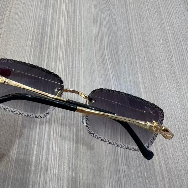 Cartier, Panthere, Unisex Eyewear