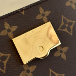 Louis Vuitton, Cluny Mini, Women's Bag, Brown