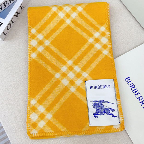 Burberry, Women Scarf
